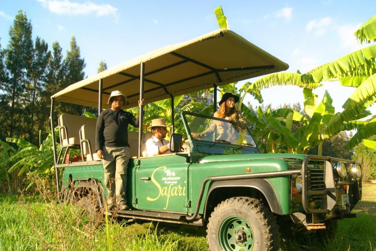 Lodge Addo African Home Addo